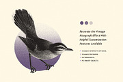 Risograph Grain Effect, a Layer Style Add-On by pixelbuddha.net (Thumbnail 2 of 9)