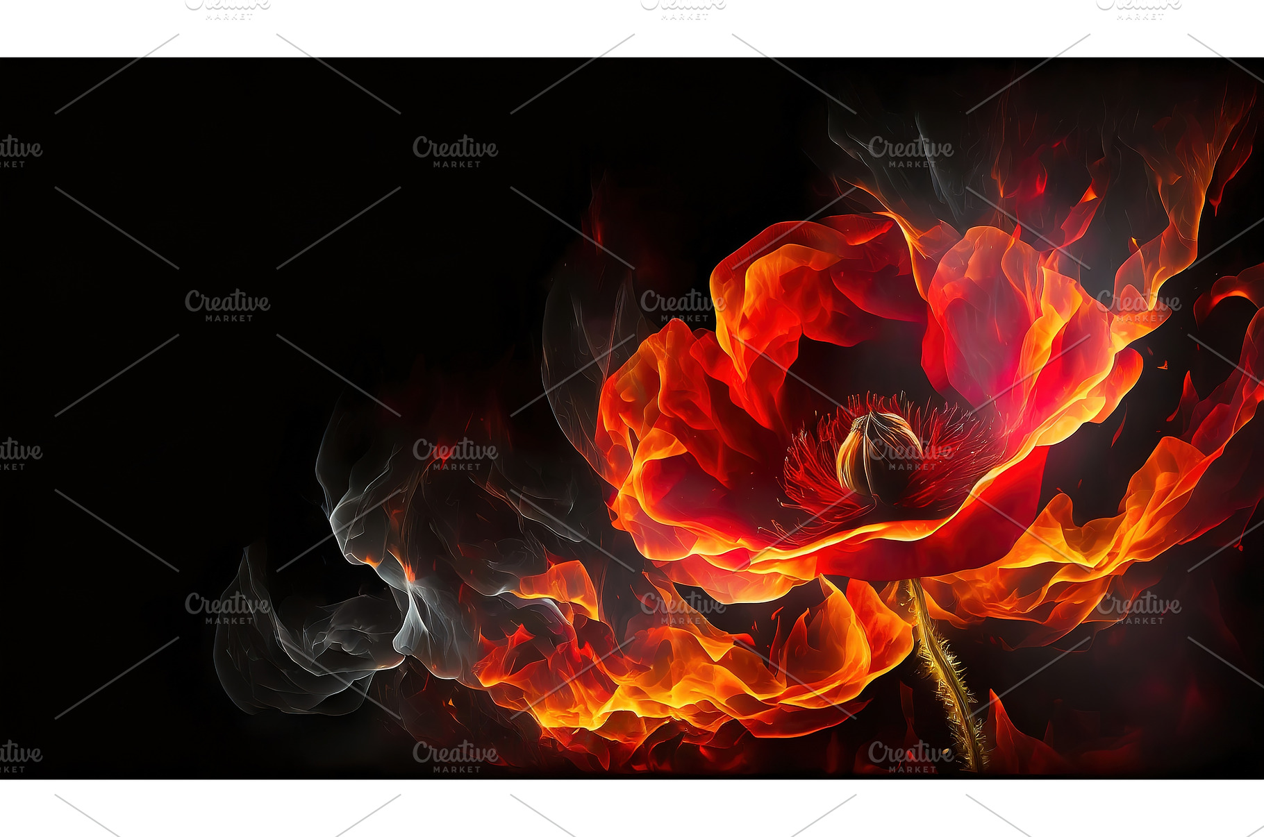 A vivid image of a fiery red poppy, a Nature Photo by Igor Tichonow