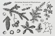 Winter Flowers Christmas Collection, a Seasonal Illustration by Yevheniia (Thumbnail 4 of 12)