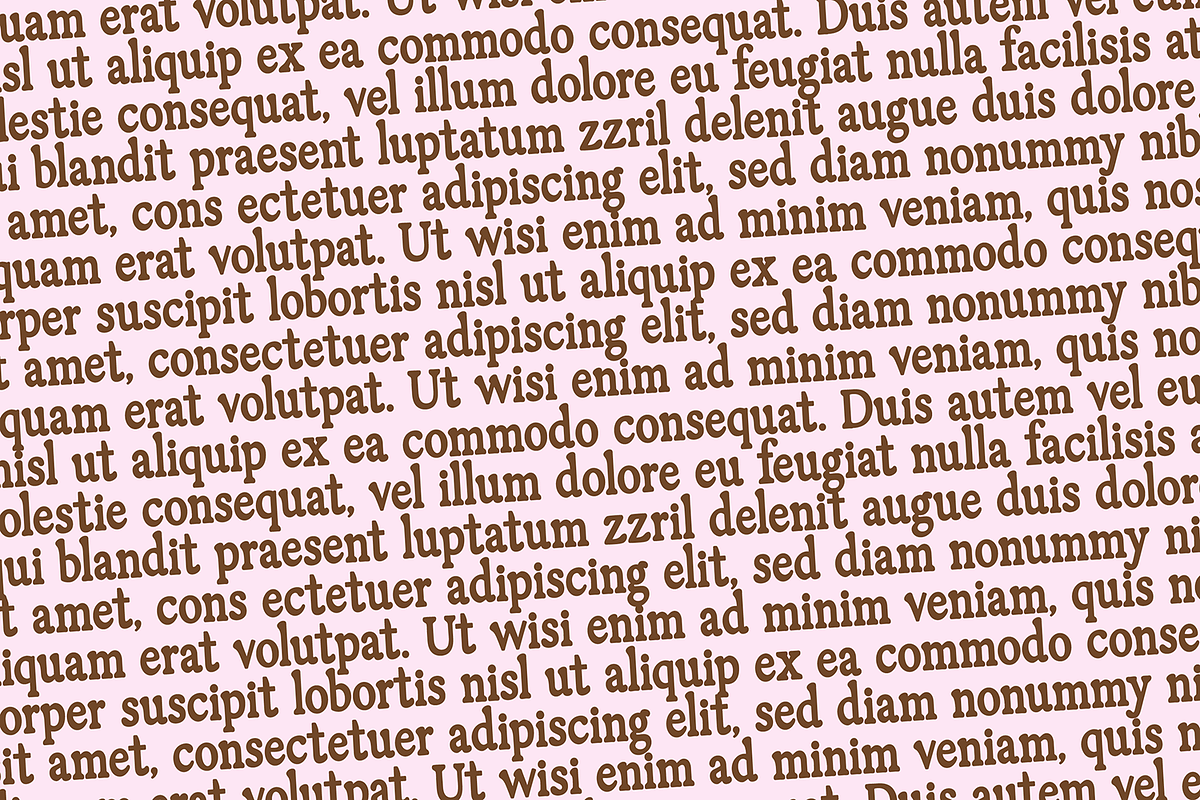 SPICED CHESTNUT Soft Serif Font, a Serif Font by Blush Font Co. (Photo 4 of 5)