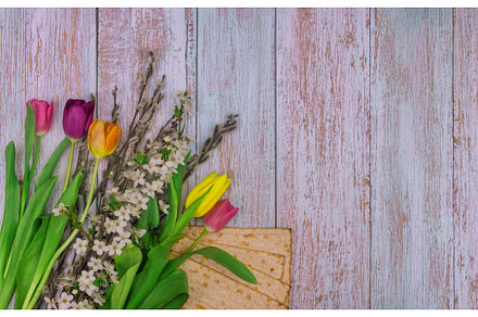 Pesach celebration the tradition, a Holiday Photo by Ungvar Studio