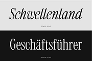 403 Mesapholic Modern Serif, a Serif Font by 403 Type Foundry (Thumbnail 8 of 16)