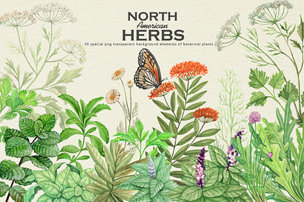 North American Herbs