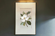 Lemons and Magnolia vector set, an Object Illustration by FleurArt (Thumbnail 8 of 11)