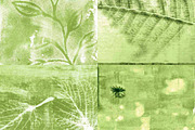 Botanical Painted Papers, a Pattern Graphic by Liz Plummer (Thumbnail 2 of 5)