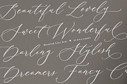 Besotted  Wedding Calligraphy Font, a Script Font by Mila Garret (Thumbnail 4 of 14)