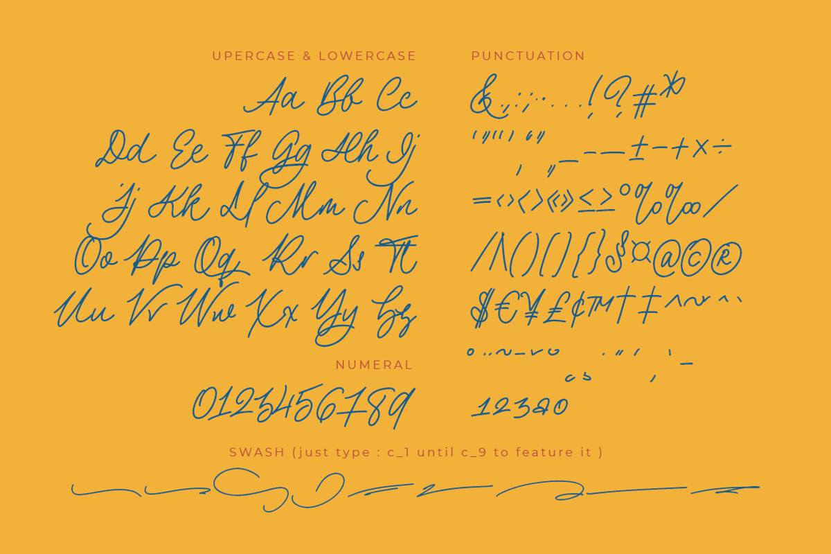 The Philosopher Script Monoline, a Script Font by Colllab Studio (Photo 5 of 18)