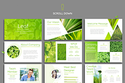 Leaf - Powerpoint Template, a Presentation Template by Helga_Design (Thumbnail 12 of 13)