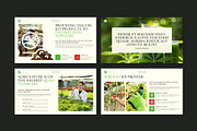 Agriculture Presentation Template, a Presentation Template by E-Type (Thumbnail 3 of 6)