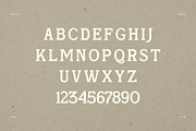 Skinner Morgan A Organic Typeface, a Serif Font by Storytype Studio (Thumbnail 15 of 18)