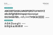Alera Labs - Scientific Humanistic, a Sans Serif Font by productype1 (Thumbnail 11 of 12)