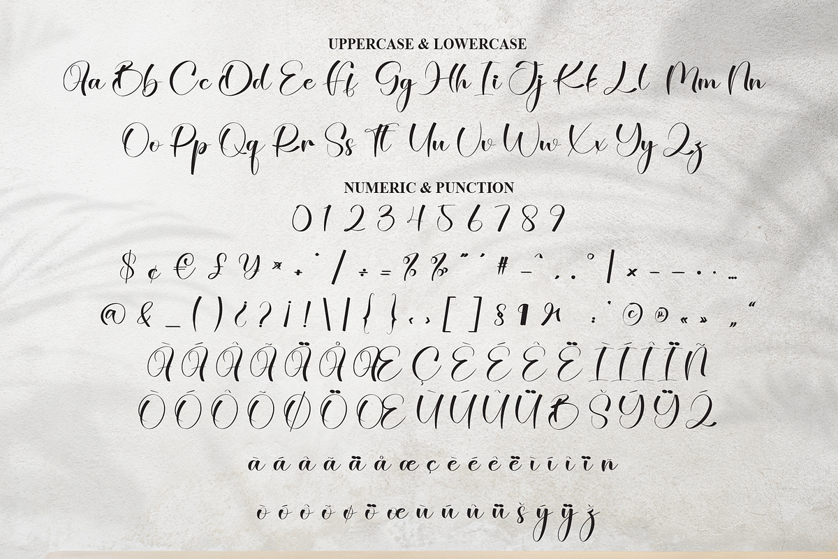 Sixtynine | Script Font, a Handwritten Font by Scratchones (Photo 7 of 8)