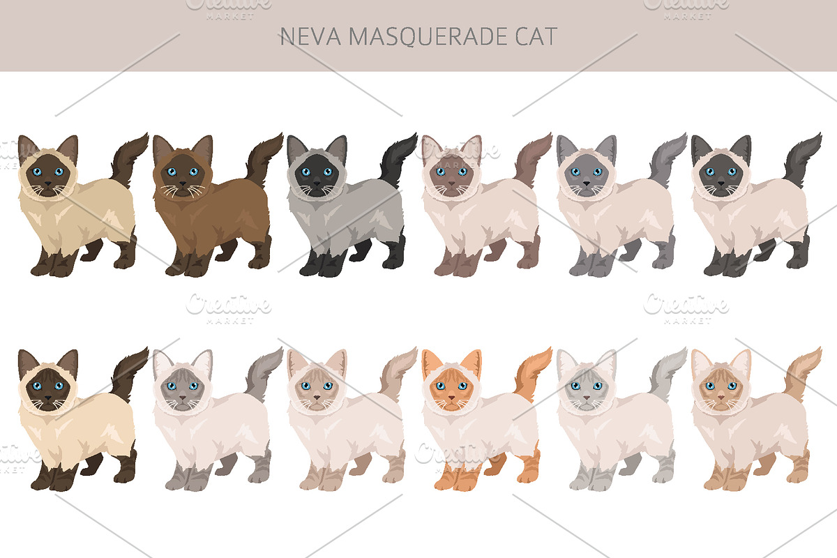 Neva Masquerade cat, an Animal Illustration by pet design shop (Photo 4 of 6)