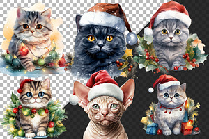 Cute Christmas Cats PNG Bundle