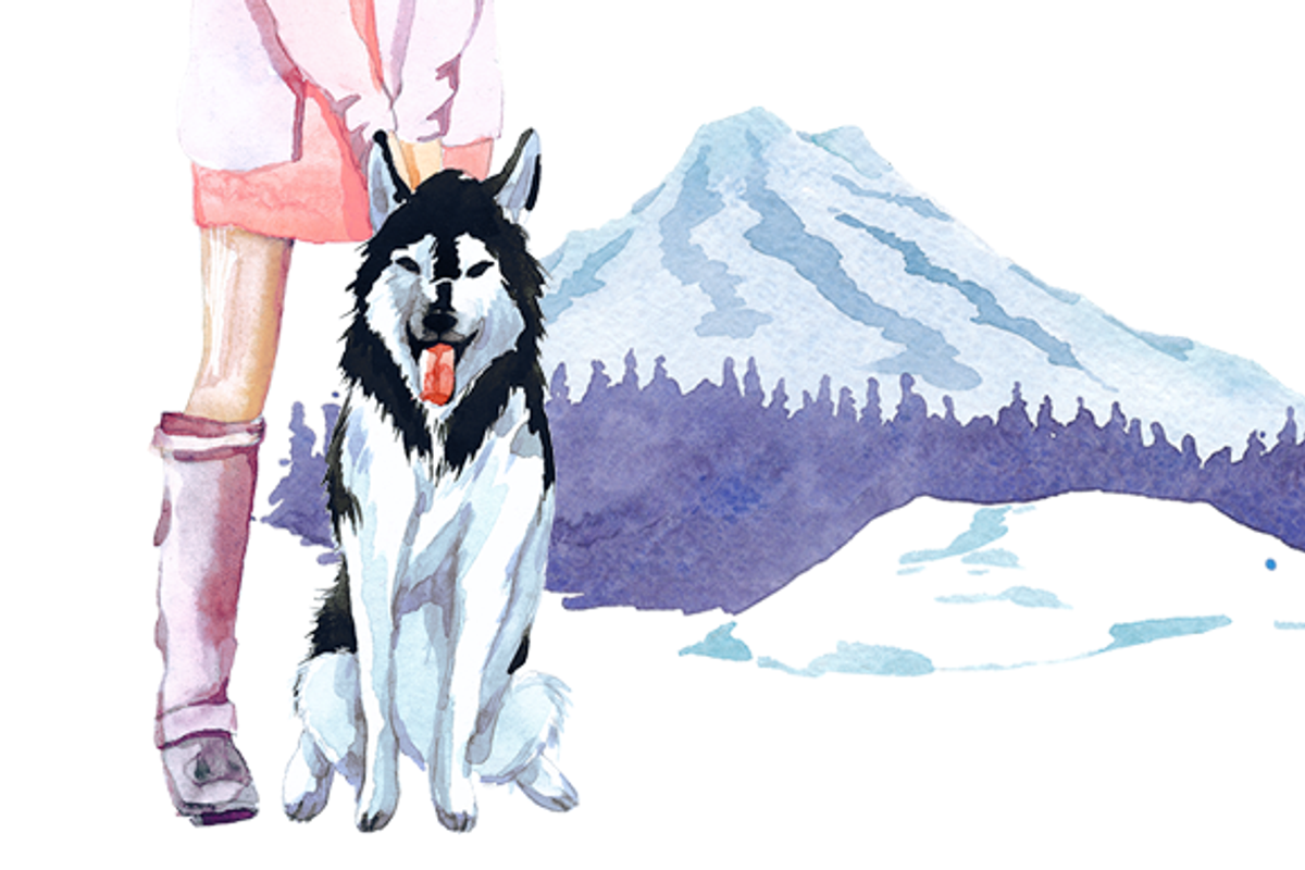 Winter Camping watercolor clipart, an Illustration by masha gross (Photo 3 of 4)