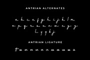 Antrian Script, a Script Font by Andika Fez (Thumbnail 8 of 12)