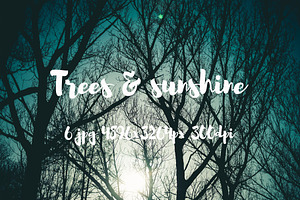 Trees and sunshine