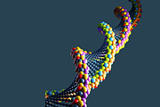 DNA, an Animal 3D Model by Giimann (Thumbnail 3 of 5)