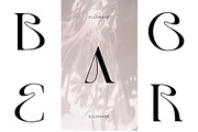 Elonade - Classic Serif Display Font, a Serif Font by Vesvocrea (Thumbnail 5 of 11)