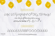 Honeycomb Font + Bonus, a Script Font by Flycatcher Design (Thumbnail 6 of 6)