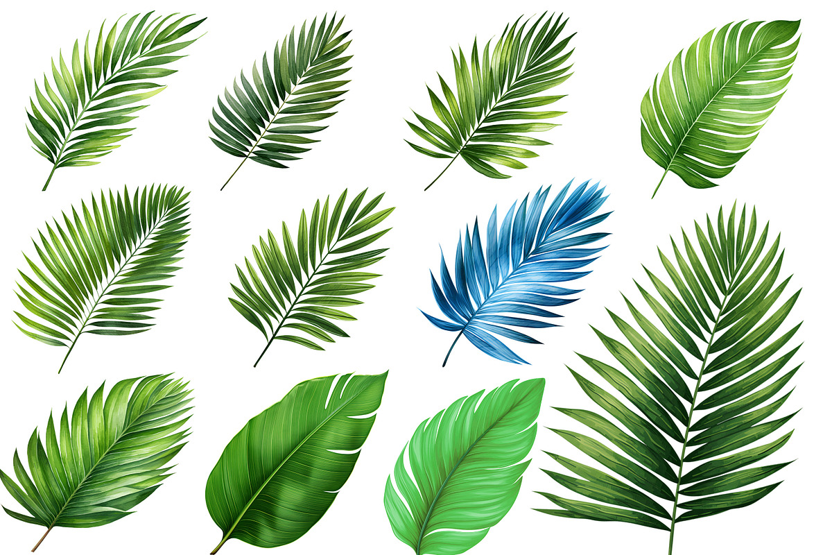 Leaves Clipart Png, an Illustration by Forhadx5 (Photo 5 of 9)