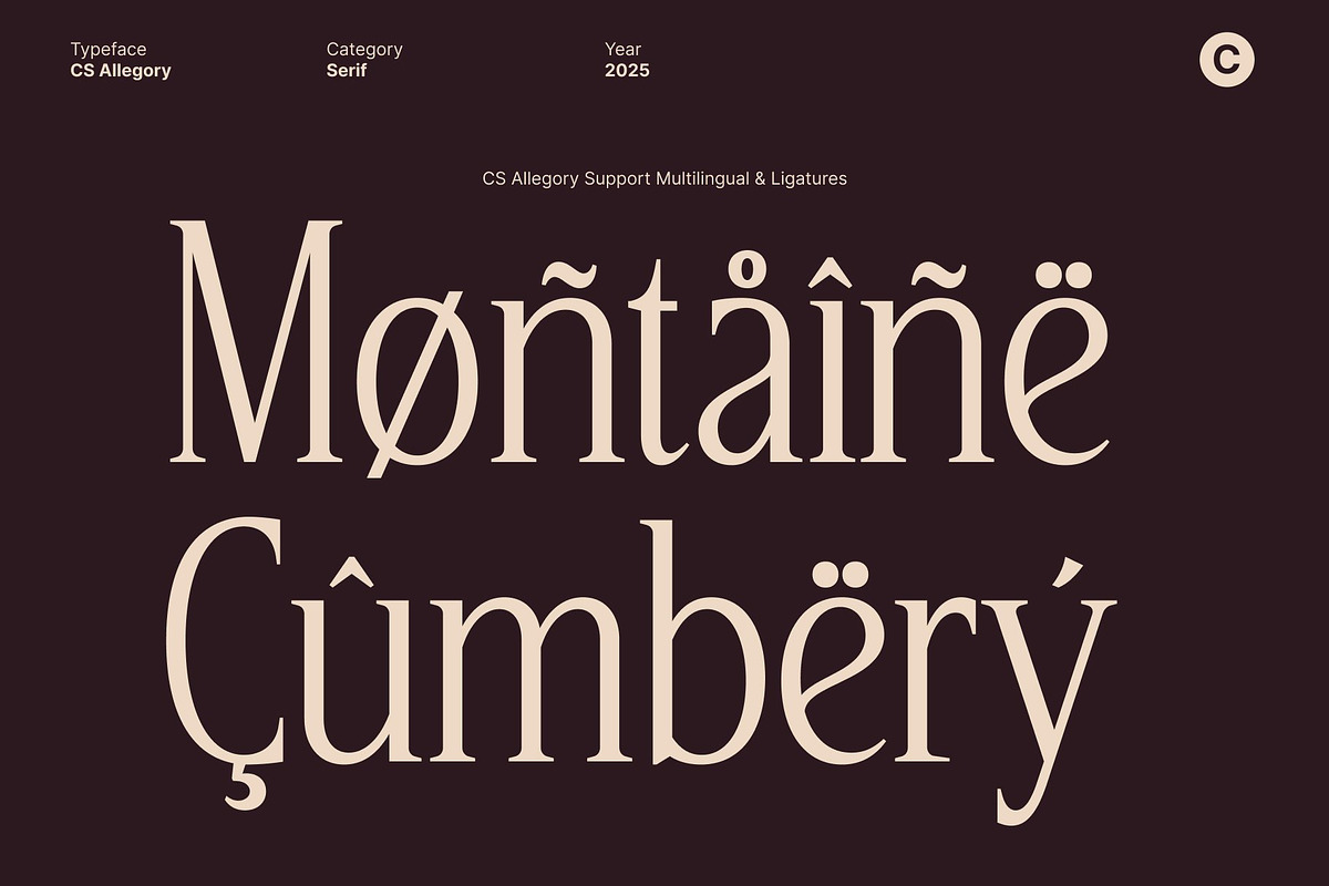 CS Allegory – Elegant Serif Font, a Serif Font by Craft Supply Co. (Photo 4 of 8)