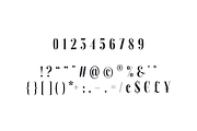 Fjørd Serif, a Serif Font by kavoon (Thumbnail 10 of 11)