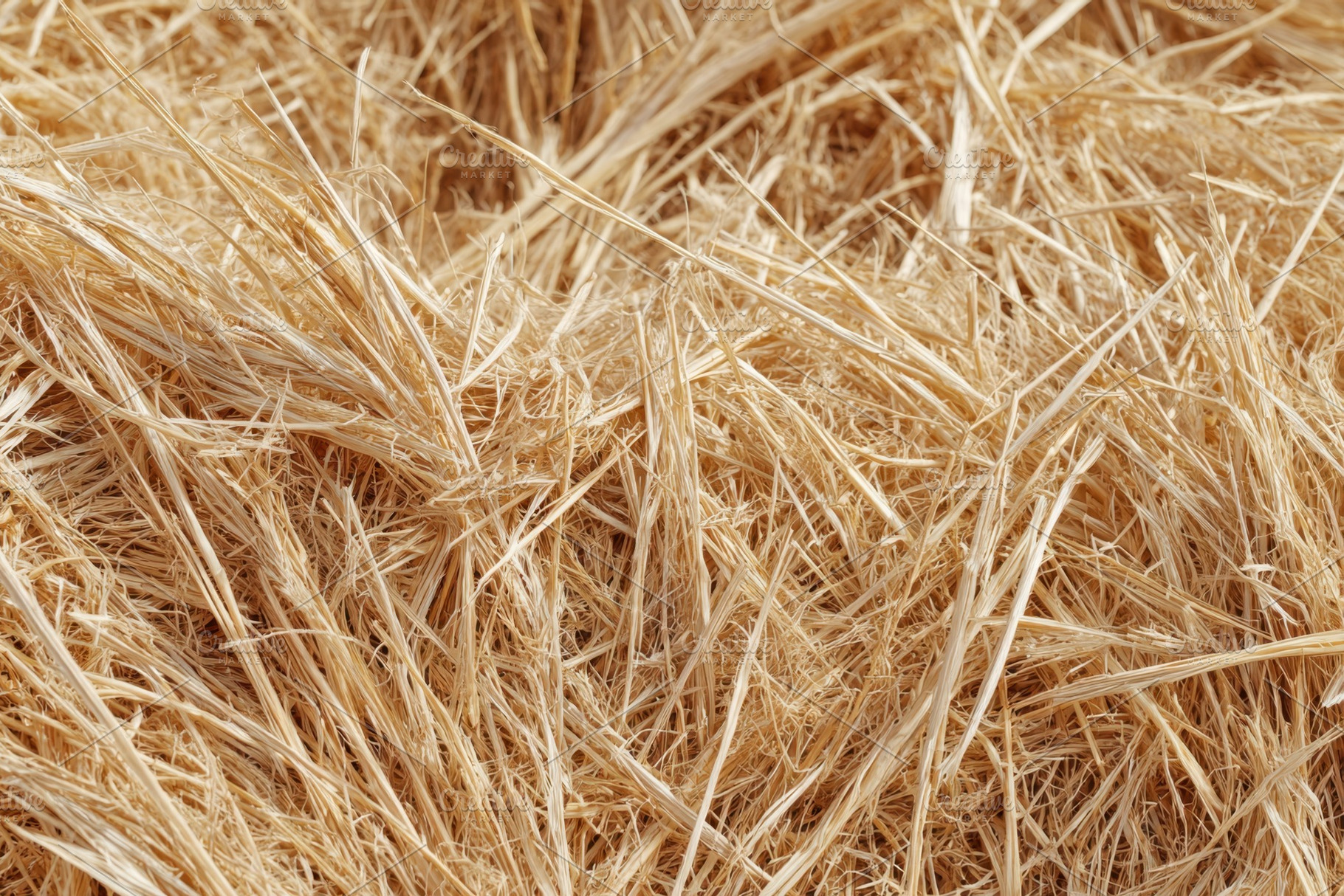 Close-up of dry straw and hay, a Background Photo by AlyaAnd