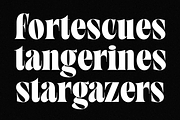 TAN - SUNDAY MORNING, a Serif Font by TanType (Thumbnail 8 of 12)