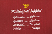 Palmira Club A Playful Retro Script, a Handwritten Font by Four Lines Std. (Thumbnail 11 of 12)