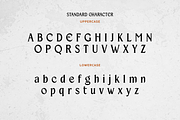 Beiruth - Serif Font, a Serif Font by Sronstudio (Thumbnail 14 of 16)