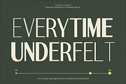 TT Remora – Modern Sans Display, a Sans Serif Font by truetype (Thumbnail 10 of 15)