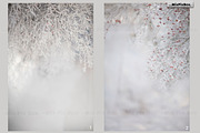 Winter Portrait Backgrounds, a Background Graphic by MixPixBox (Thumbnail 2 of 6)