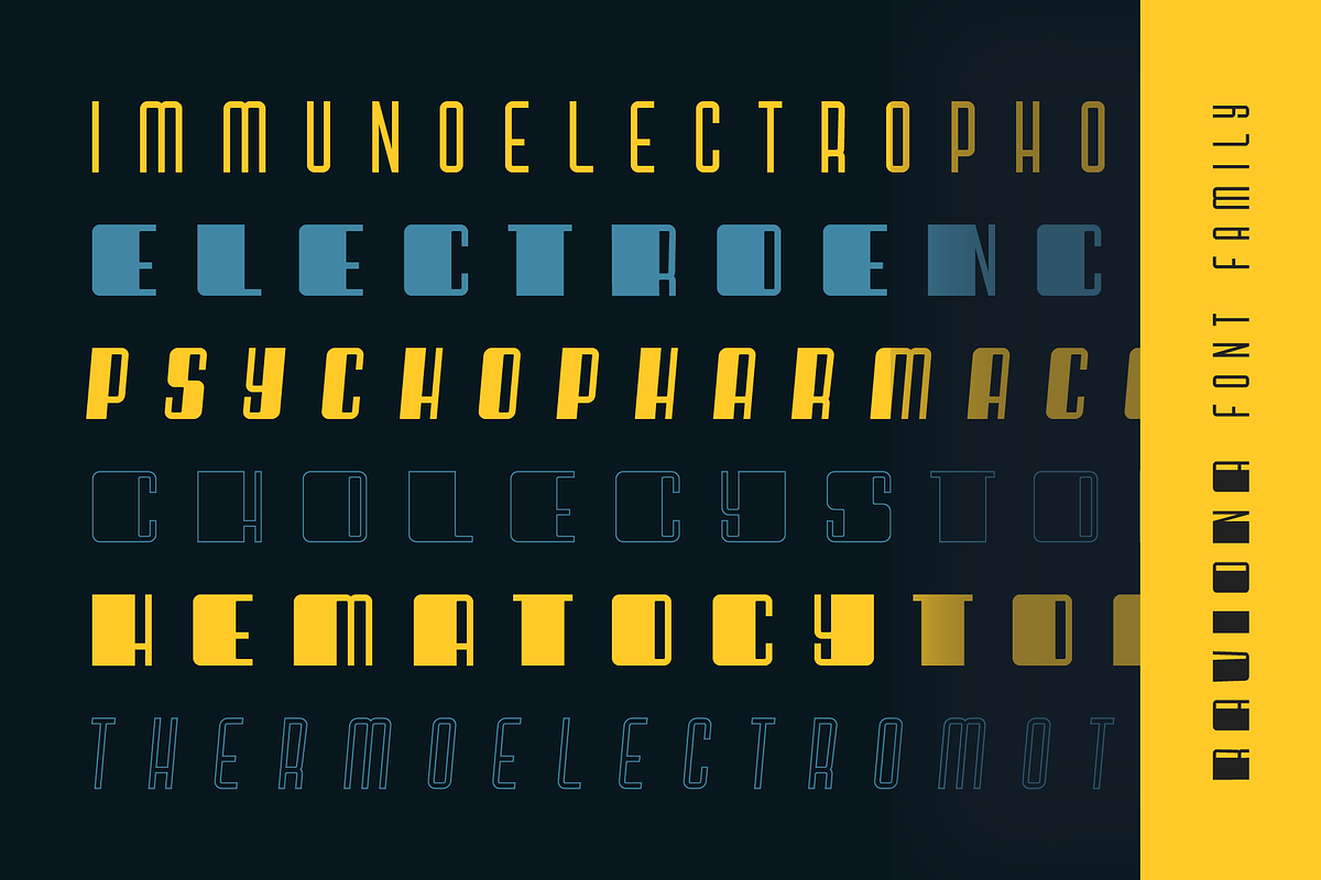 Raviona Font Family (44 Fonts), a Font by alpercakici (Photo 9 of 18)