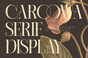 Caroowa Modern Serif Display, a Serif Font by timelesstype.co (Thumbnail 1 of 20)