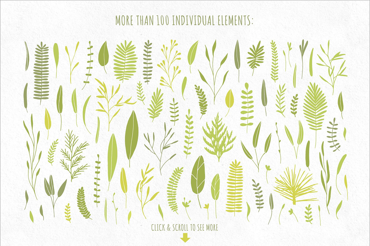 Vector Botanical Elements +Extras!, a Decorative Illustration by eclosque (Photo 2 of 5)