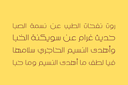 Khayal - Arabic Font, a Script Font by Mostafa El Abasiry (Thumbnail 5 of 8)