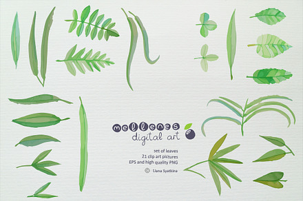 watercolor leaves clip art
