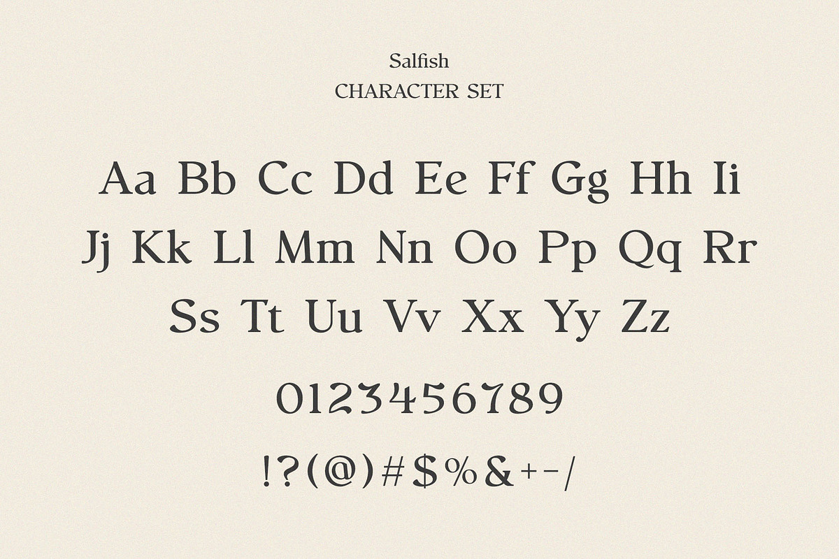 Salfish - Nostalgic Serif Font, a Serif Font by Typeformers (Photo 5 of 5)