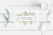 Forest Green & Blush Pink, an Object Illustration by OJardin (Thumbnail 5 of 9)