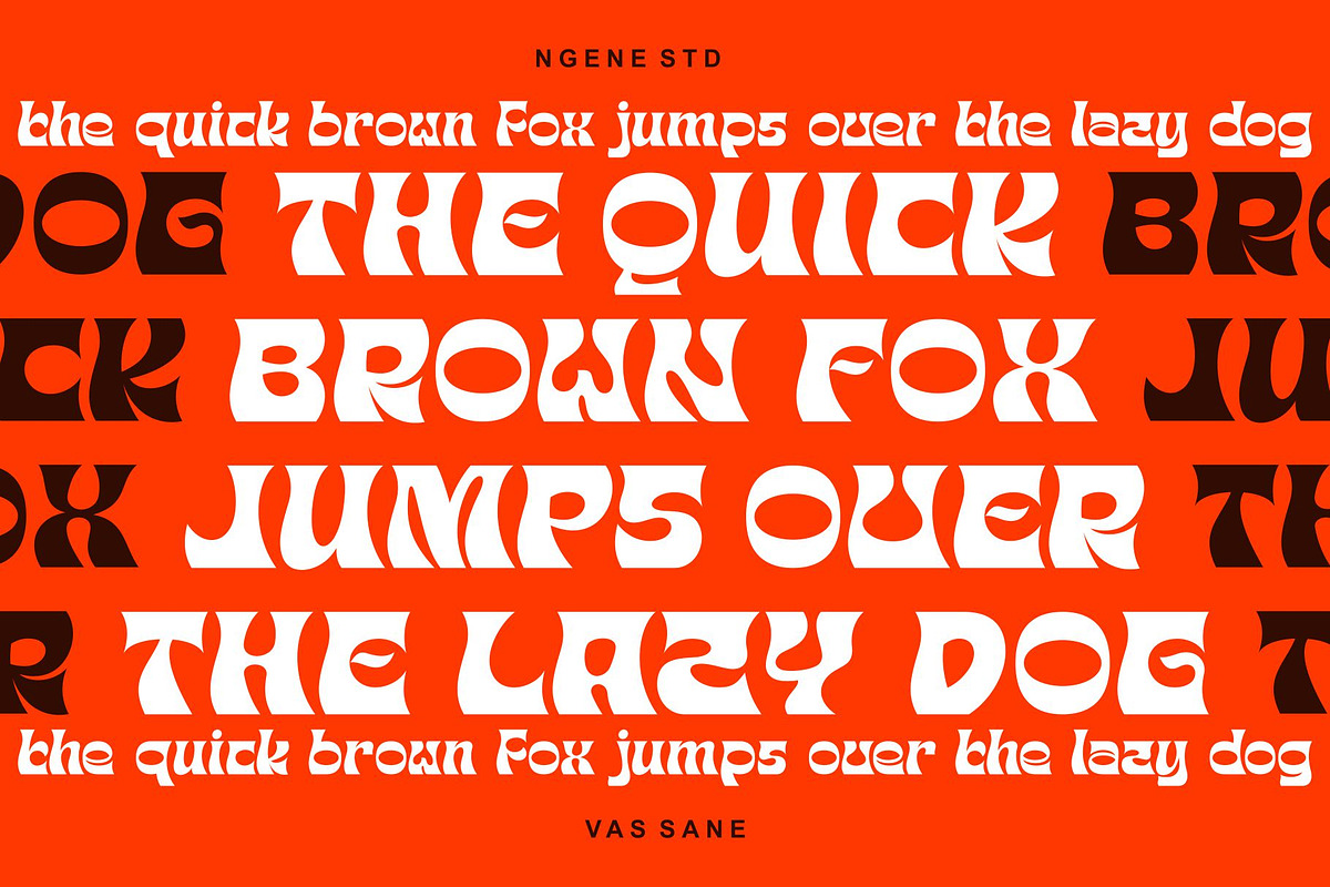 VAS SANE, a Font by ngene (Photo 4 of 7)