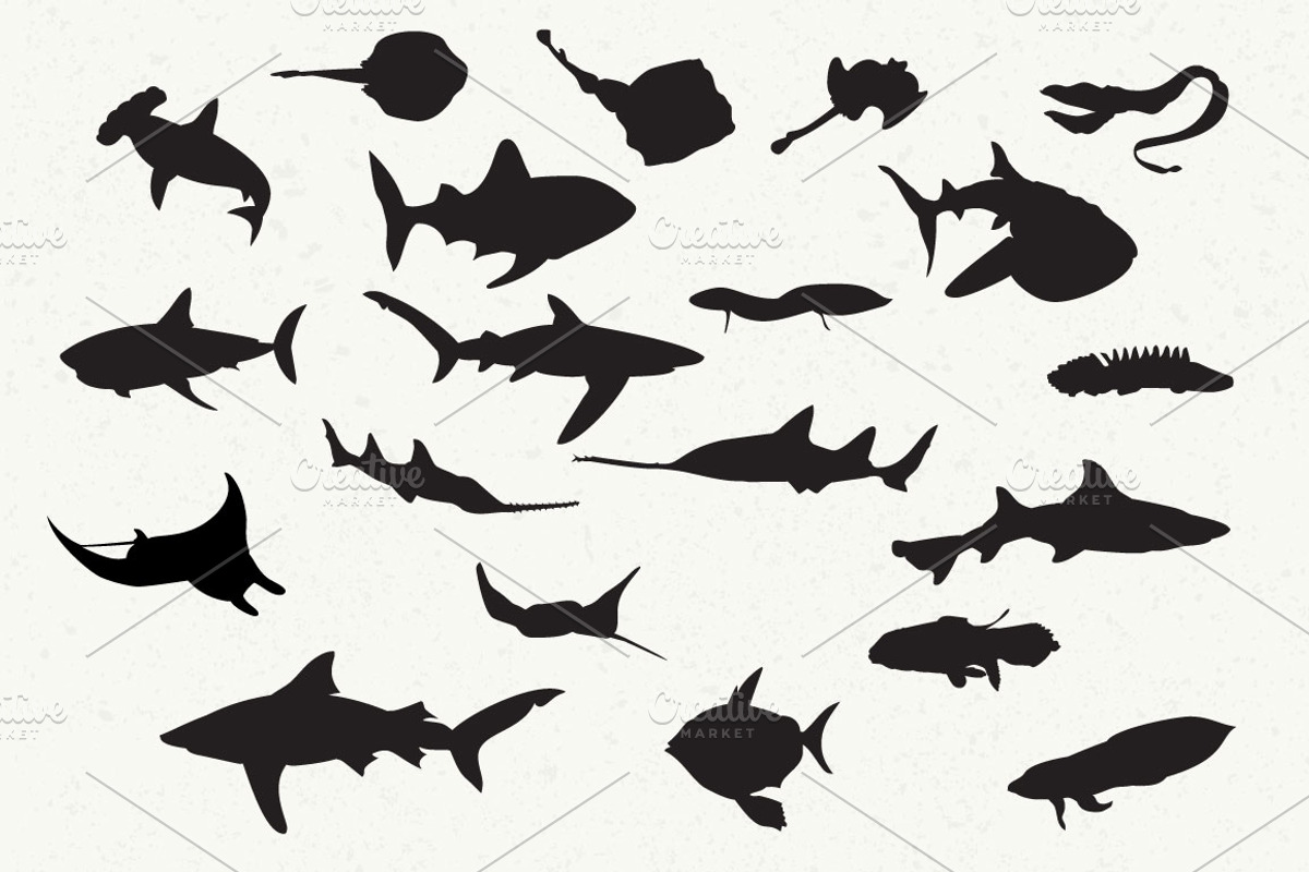 Hand Drawn Fish Pack, an Object Graphic by Sunny Design (Photo 2 of 3)