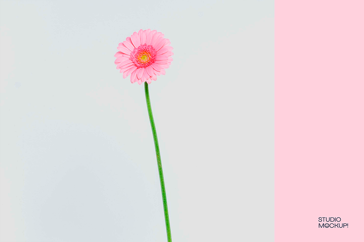 FLOWER INVITATION MOCKUP, a Graphic by Le Studio Mockup (Photo 3 of 4)