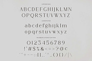 Rergian - A New Moderen Serif Font, a Serif Font by GridlineType (Thumbnail 9 of 10)