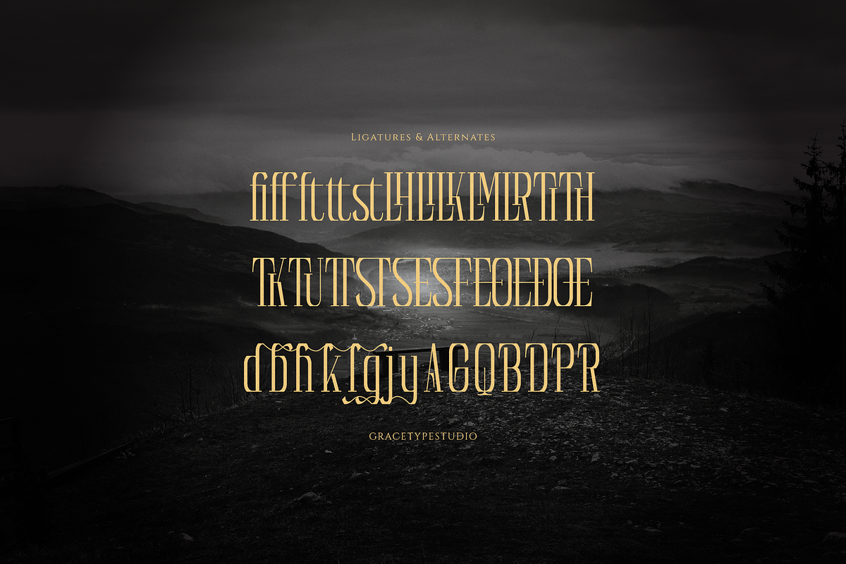 Reqaela | Display Serif Font, a Serif Font by gracetype_studio (Photo 12 of 12)