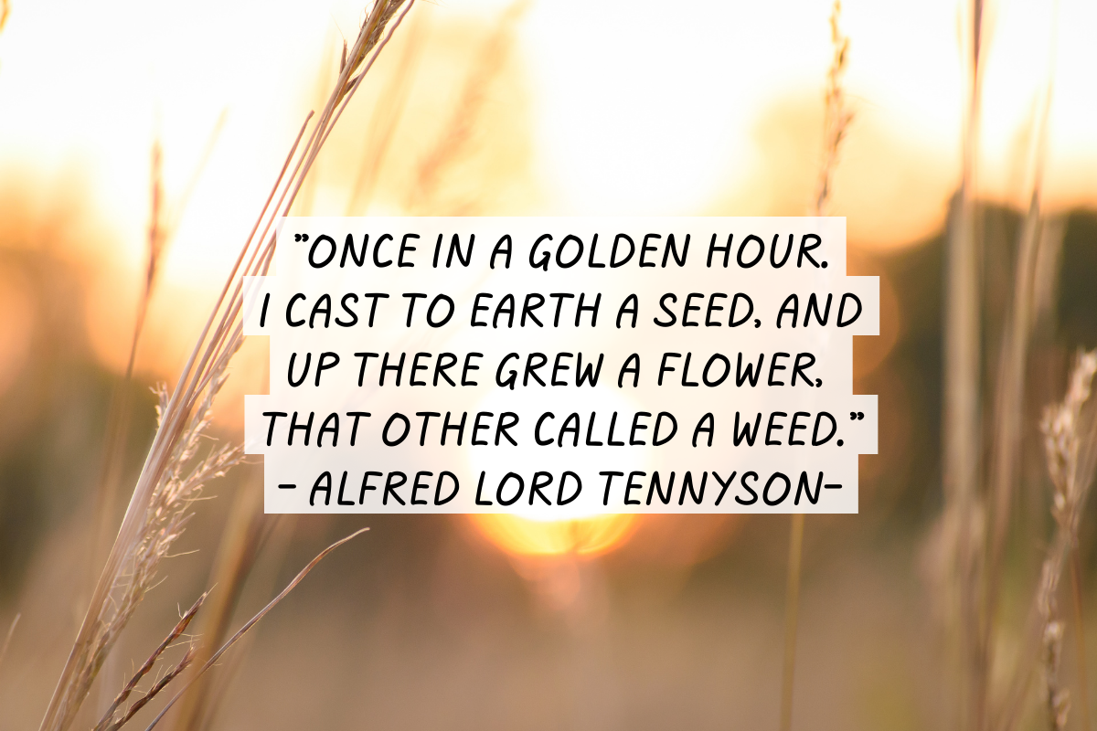 Golden Hour, a Font by Fashion Creative (Photo 7 of 9)