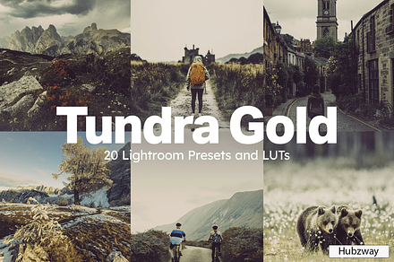 Tundra Gold Lightroom Presets & LUTs, a Preset Add-On by Hubzway