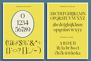 Brimula, a Serif Font by Zafiratype (Thumbnail 10 of 10)