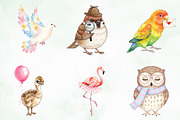 Watercolor Cute Whimsical Birds Png, an Illustration by Creative Art (Thumbnail 6 of 9)