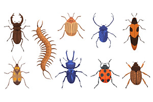 Insect Vector Icons Flat Set. Spring